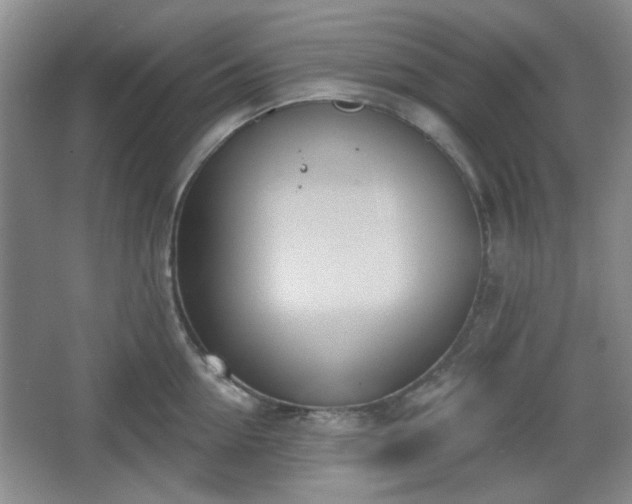 X0000067330954200604071322