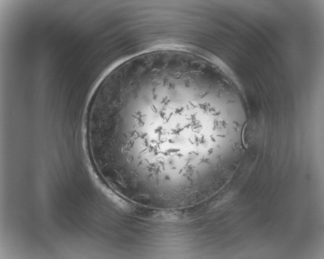 X0000067330955200604071322