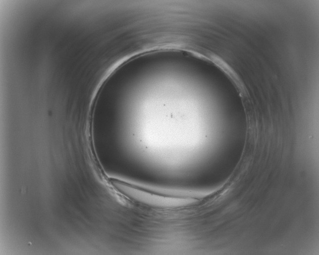 X0000067330956200604071322