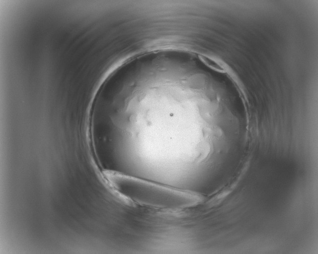 X0000067330957200604071322