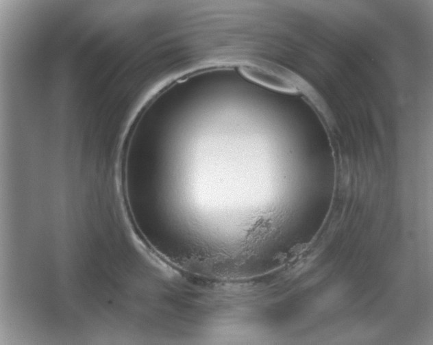 X0000067330958200604071322