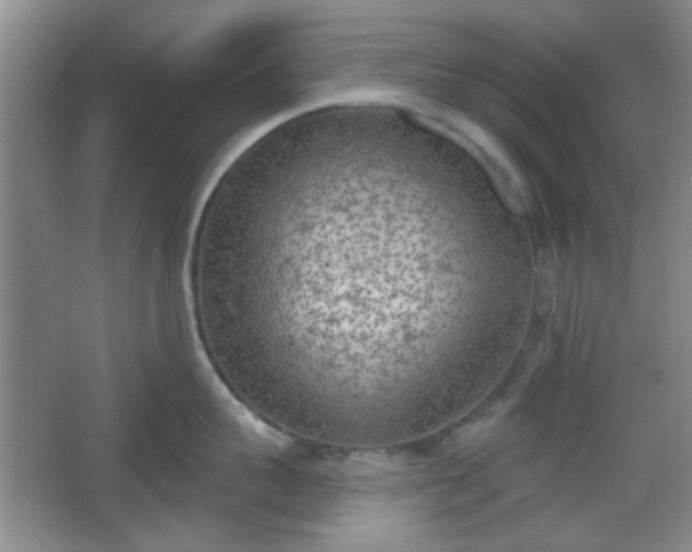 X0000067330959200604071322