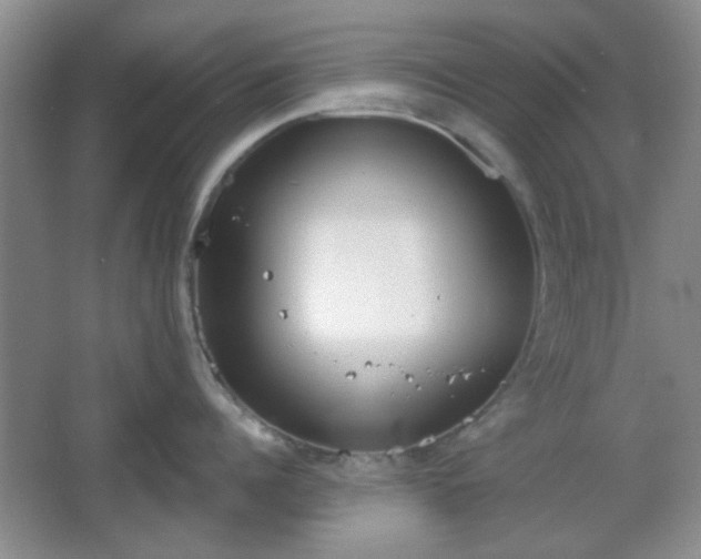 X0000067330960200604071322