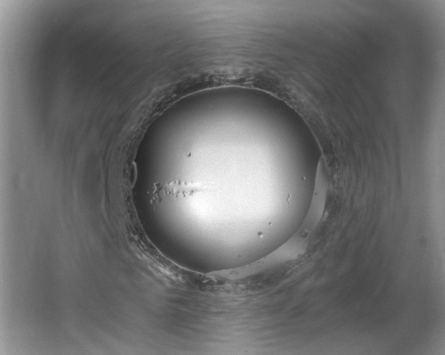 X0000067330961200604071321