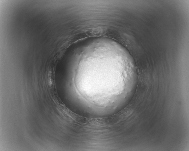 X0000067330962200604071321