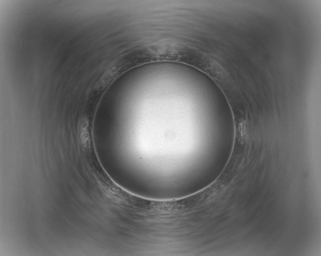 X0000067330963200604071321