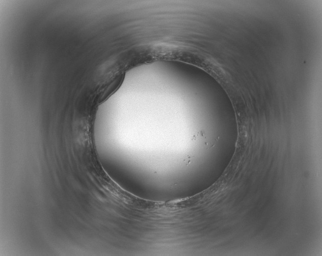 X0000067330964200604071321