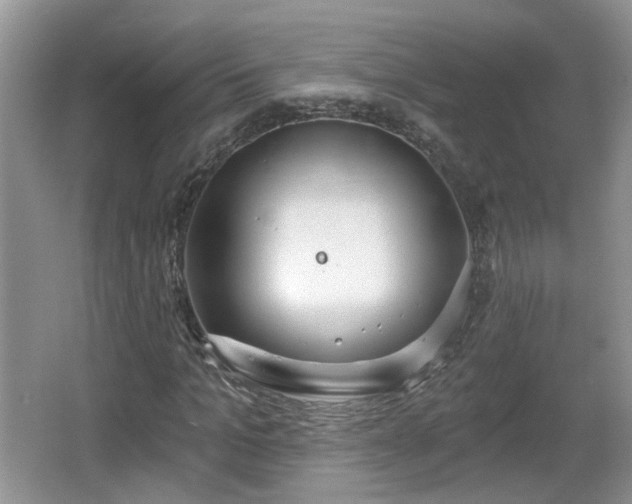 X0000067330965200604071321