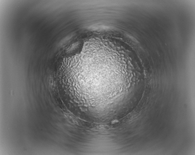 X0000067330966200604071321