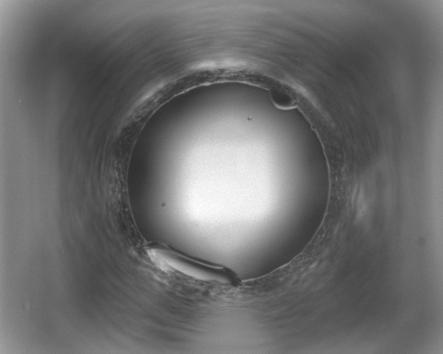 X0000067330967200604071321