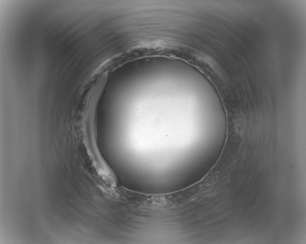 X0000067330968200604071321