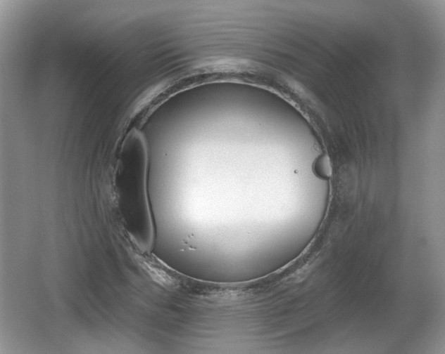 X0000067330970200604071321