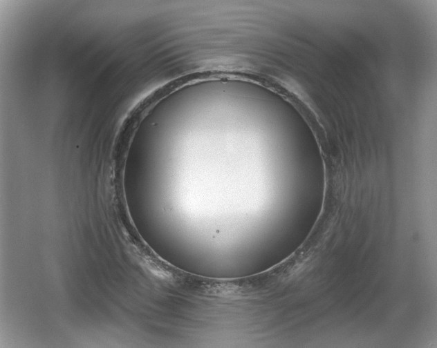 X0000067330971200604071321