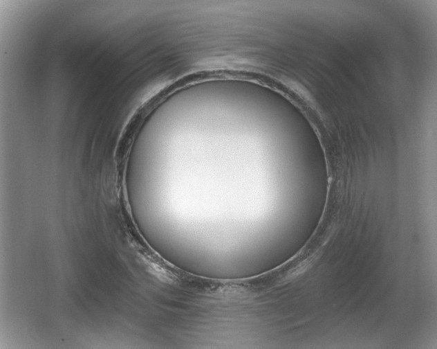 X0000067330974200604071321