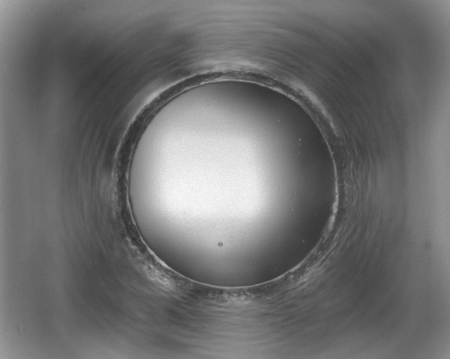 X0000067330975200604071321