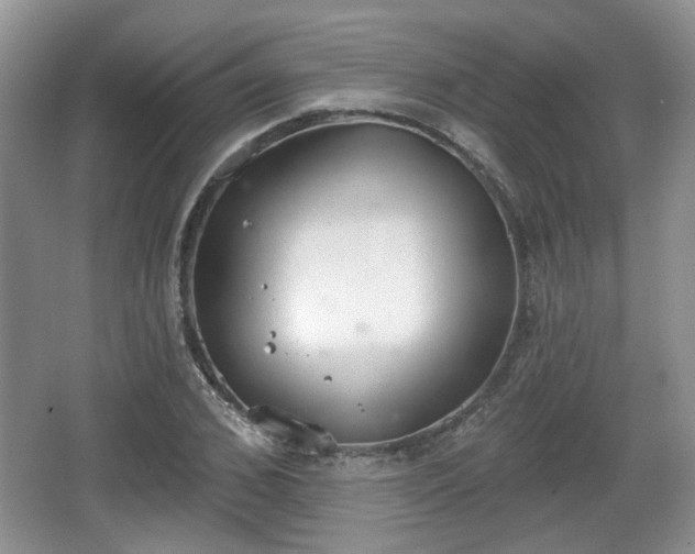 X0000067330976200604071321