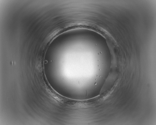 X0000067330977200604071321