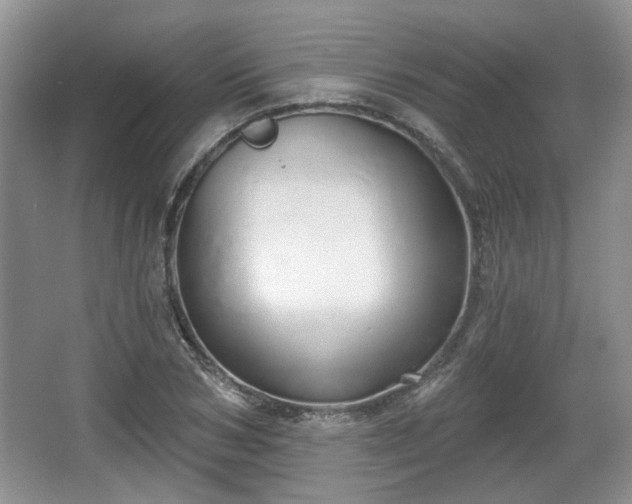 X0000067330978200604071321