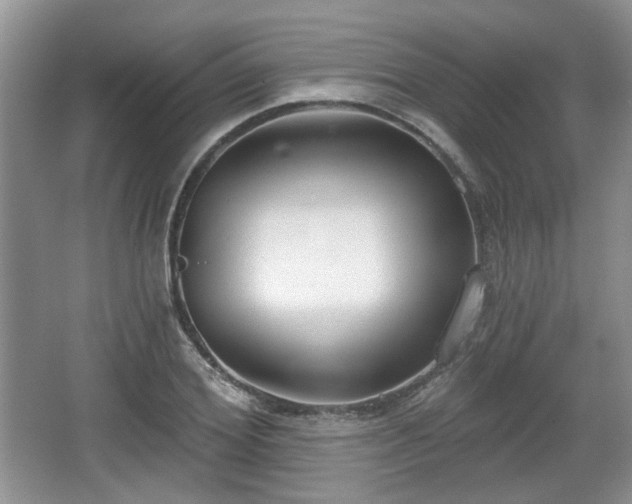 X0000067330980200604071321