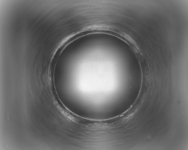 X0000067330981200604071321