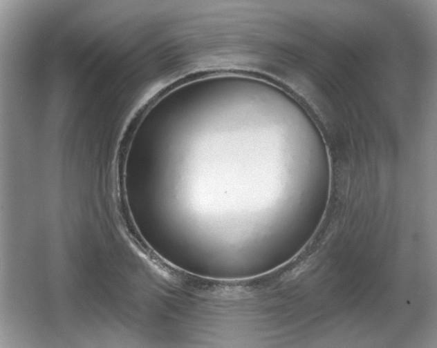 X0000067330982200604071321