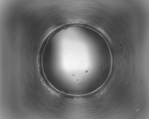 X0000067330983200604071321