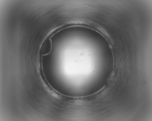 X0000067330984200604071321