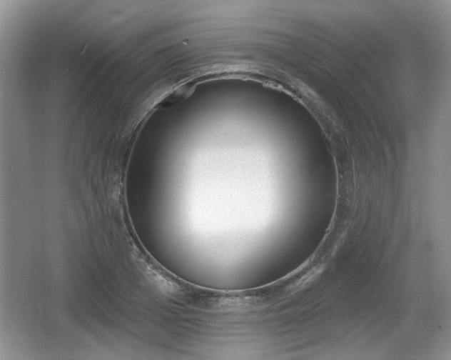 X0000067330985200604071321