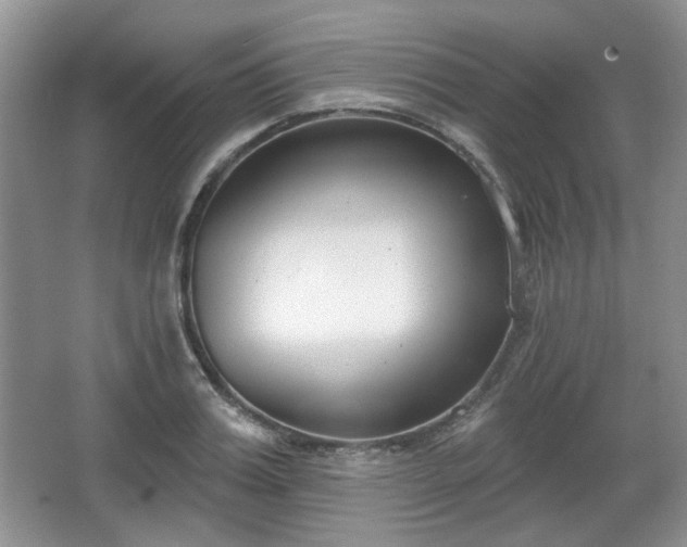 X0000067330987200604071321