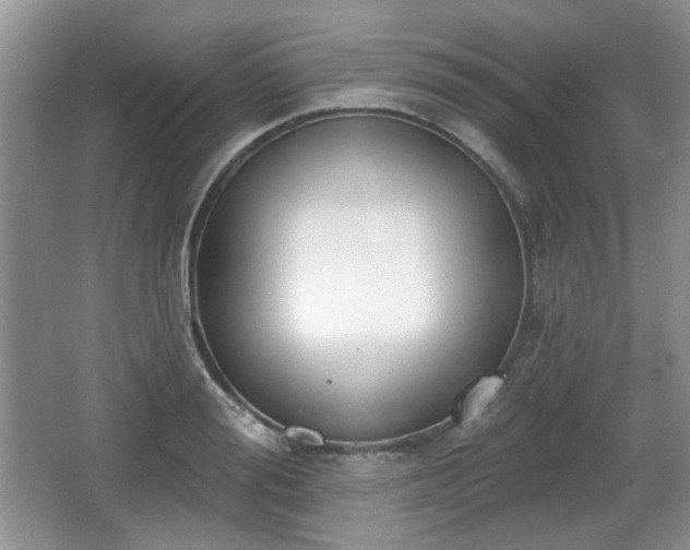 X0000067330988200604071320