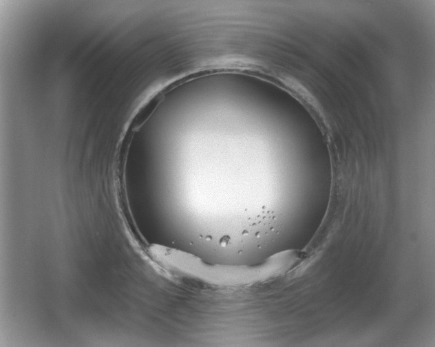 X0000067330989200604071320