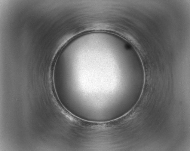 X0000067330990200604071320