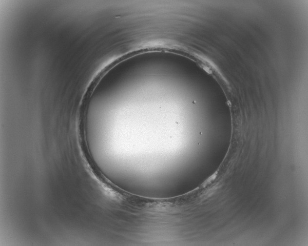 X0000067330991200604071320