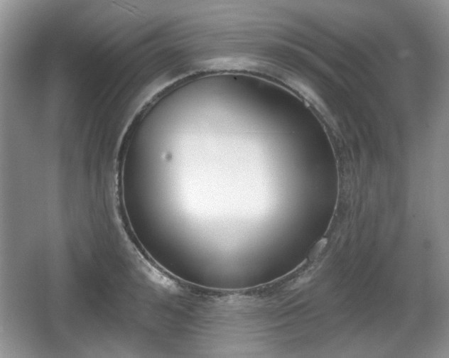 X0000067330992200604071320