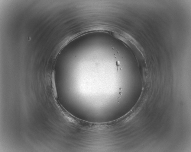 X0000067330993200604071320