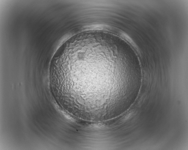 X0000067330994200604071320