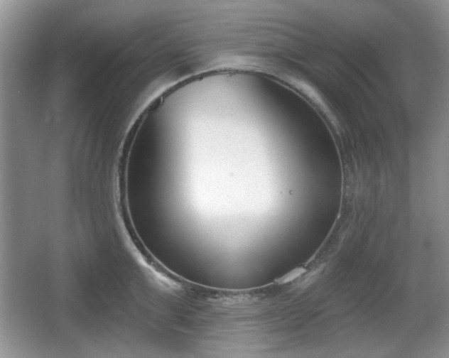 X0000067330999200604071320