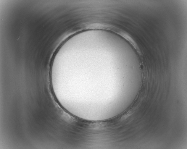 X0000067331000200604071320