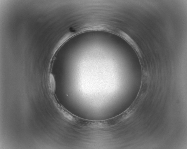 X0000067331002200604071320