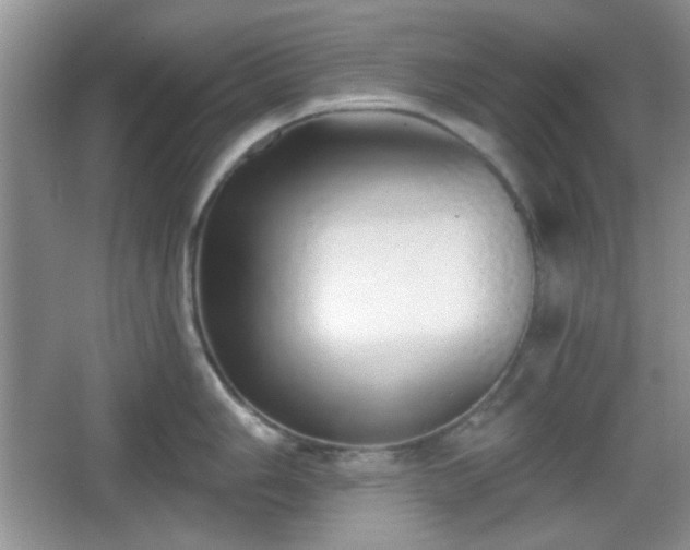 X0000067331006200604071320