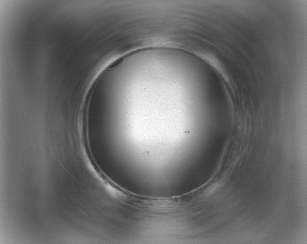 X0000067331007200604071320