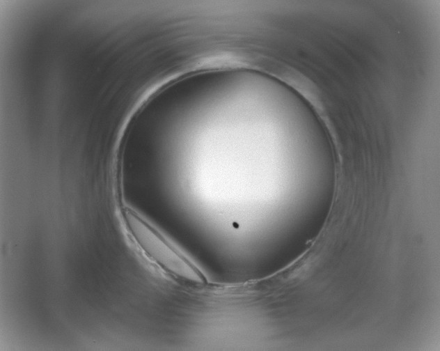 X0000067331008200604071320