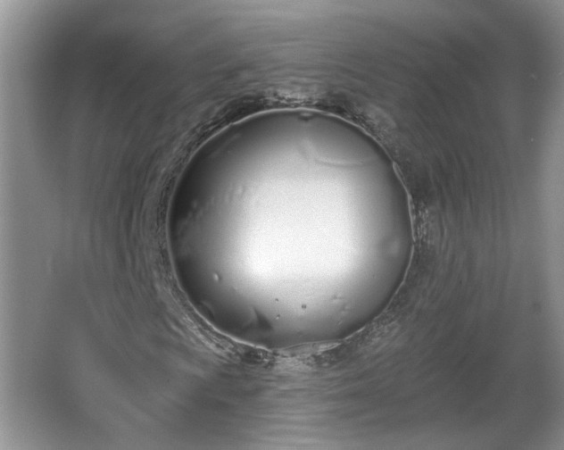 X0000067331009200604071319