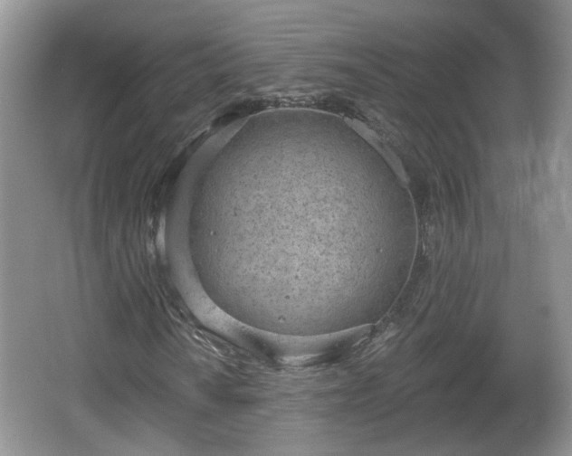 X0000067331010200604071319