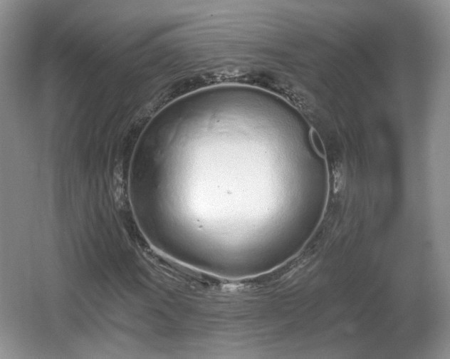 X0000067331011200604071319