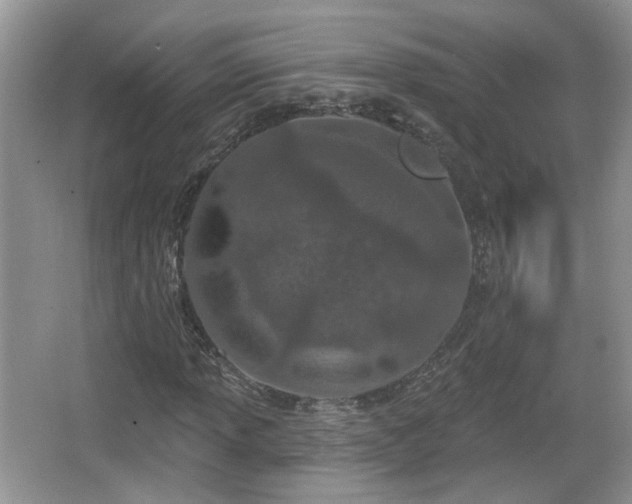 X0000067331013200604071319