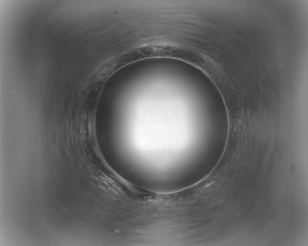 X0000067331014200604071319