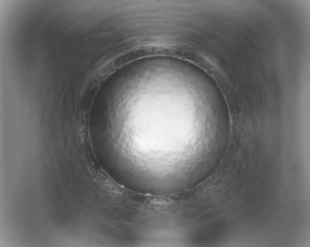 X0000067331015200604071319