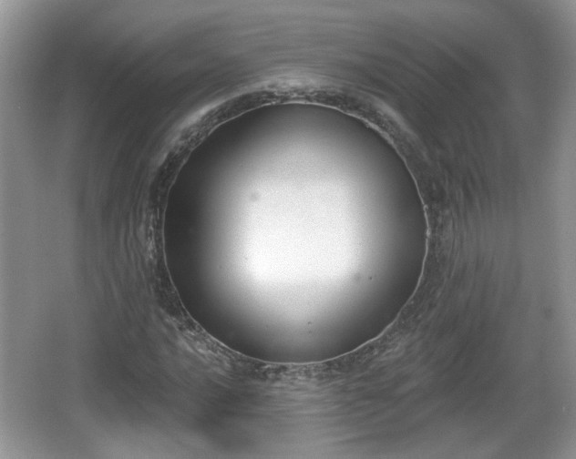 X0000067331016200604071319