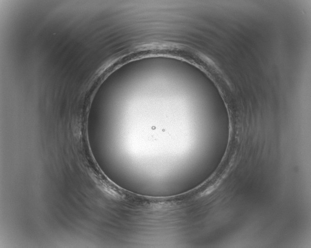 X0000067331017200604071319